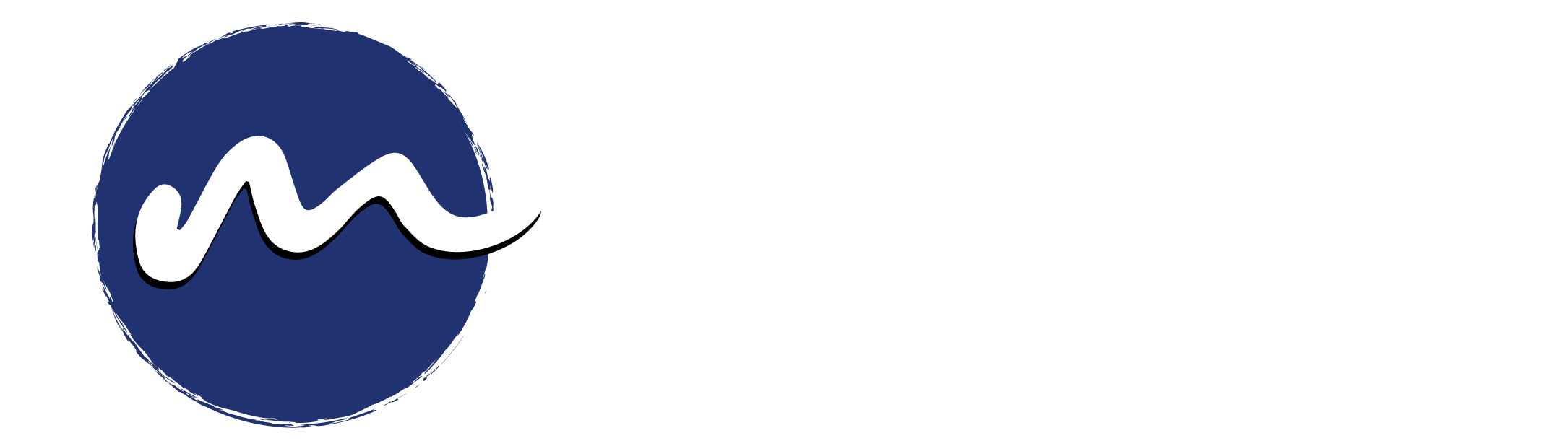 MEDIA 91
